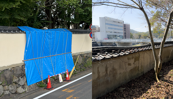 サンプル画像